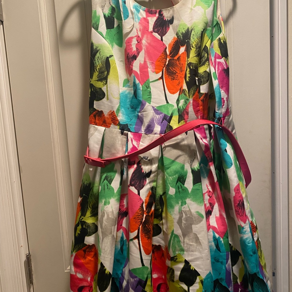 Eliza J Red and Blue A-Line Sundress